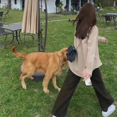 长尾豹马修